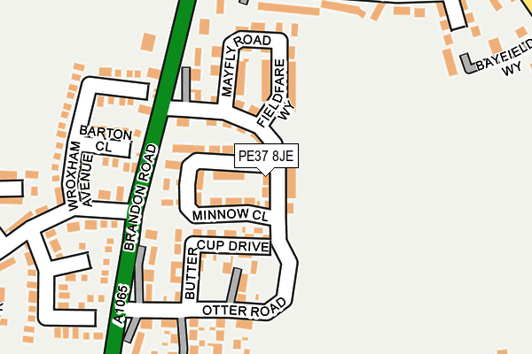 PE37 8JE map - OS OpenMap – Local (Ordnance Survey)