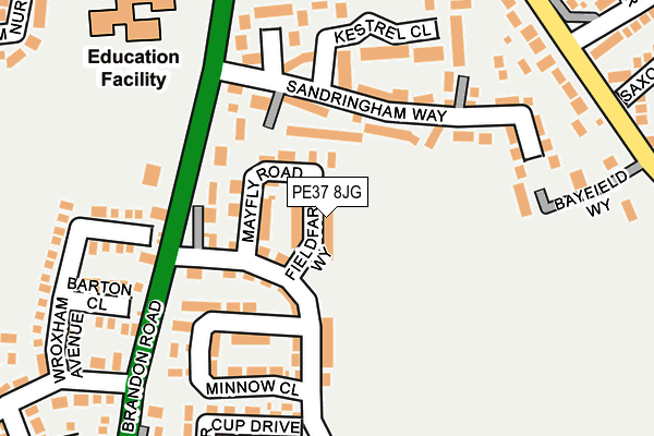 PE37 8JG map - OS OpenMap – Local (Ordnance Survey)
