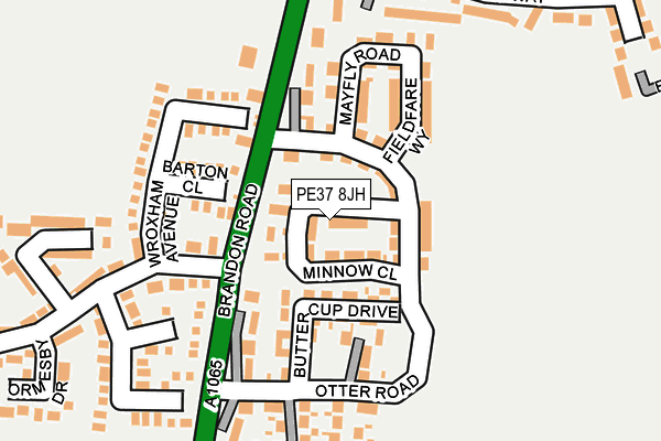 PE37 8JH map - OS OpenMap – Local (Ordnance Survey)