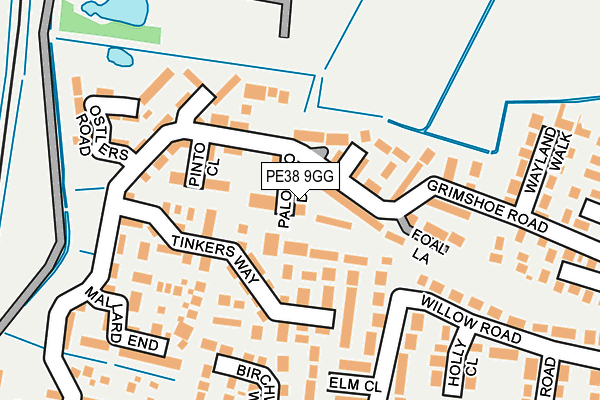 PE38 9GG map - OS OpenMap – Local (Ordnance Survey)