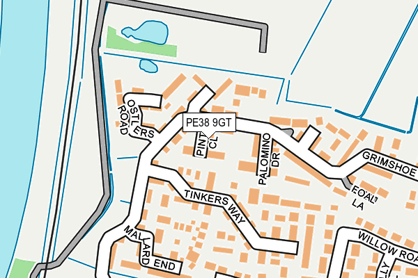 PE38 9GT map - OS OpenMap – Local (Ordnance Survey)