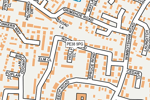 PE38 9PG map - OS OpenMap – Local (Ordnance Survey)