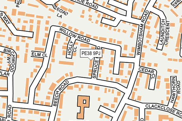 PE38 9PJ map - OS OpenMap – Local (Ordnance Survey)