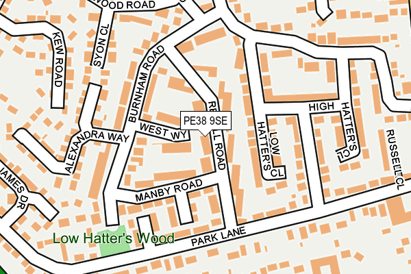 PE38 9SE map - OS OpenMap – Local (Ordnance Survey)