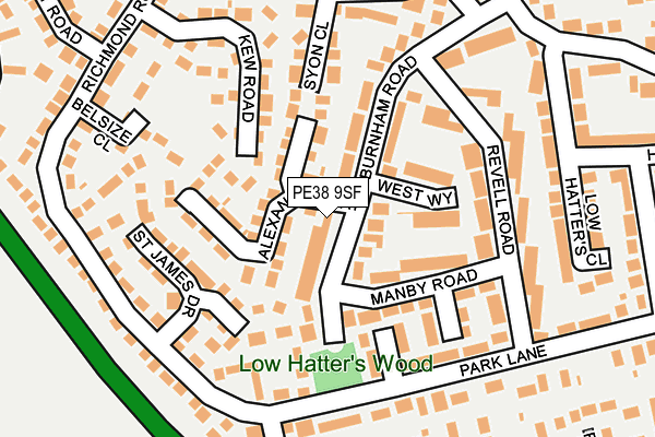 PE38 9SF map - OS OpenMap – Local (Ordnance Survey)