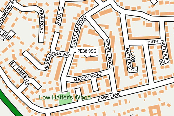 PE38 9SG map - OS OpenMap – Local (Ordnance Survey)