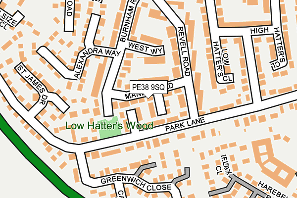 PE38 9SQ map - OS OpenMap – Local (Ordnance Survey)