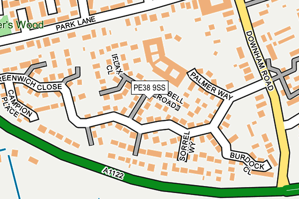 PE38 9SS map - OS OpenMap – Local (Ordnance Survey)