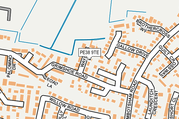 PE38 9TE map - OS OpenMap – Local (Ordnance Survey)