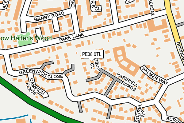 PE38 9TL map - OS OpenMap – Local (Ordnance Survey)