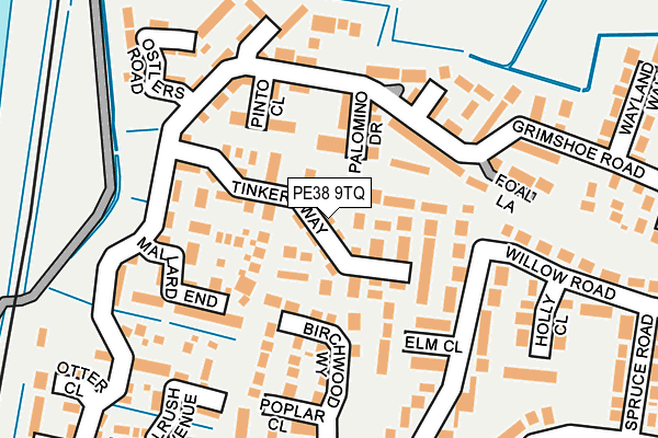 PE38 9TQ map - OS OpenMap – Local (Ordnance Survey)