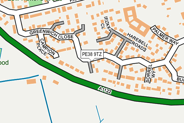 PE38 9TZ map - OS OpenMap – Local (Ordnance Survey)