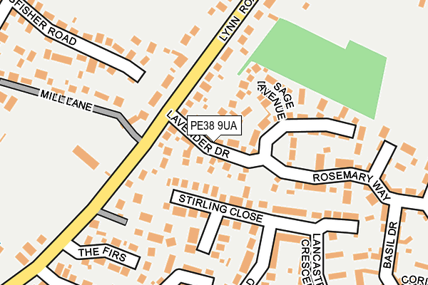 PE38 9UA map - OS OpenMap – Local (Ordnance Survey)