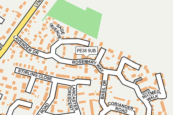 PE38 9UB map - OS OpenMap – Local (Ordnance Survey)