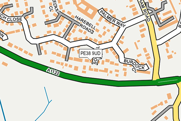 PE38 9UD map - OS OpenMap – Local (Ordnance Survey)
