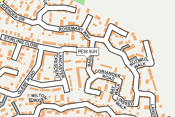 PE38 9UH map - OS OpenMap – Local (Ordnance Survey)