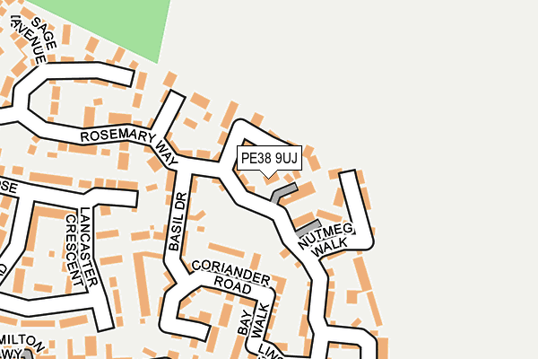 PE38 9UJ map - OS OpenMap – Local (Ordnance Survey)