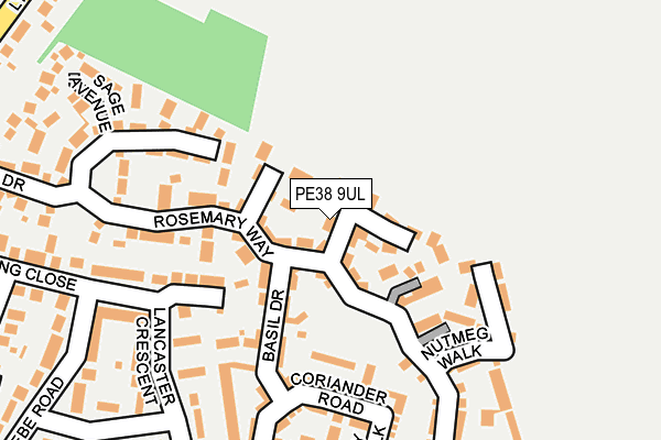 PE38 9UL map - OS OpenMap – Local (Ordnance Survey)