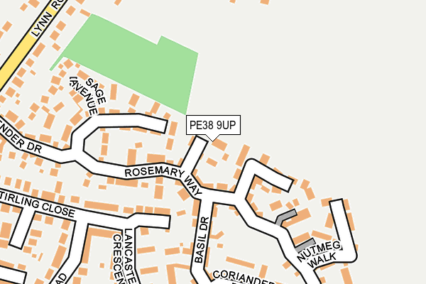 PE38 9UP map - OS OpenMap – Local (Ordnance Survey)