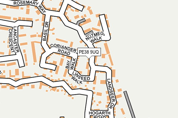 PE38 9UQ map - OS OpenMap – Local (Ordnance Survey)