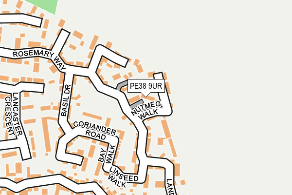 PE38 9UR map - OS OpenMap – Local (Ordnance Survey)