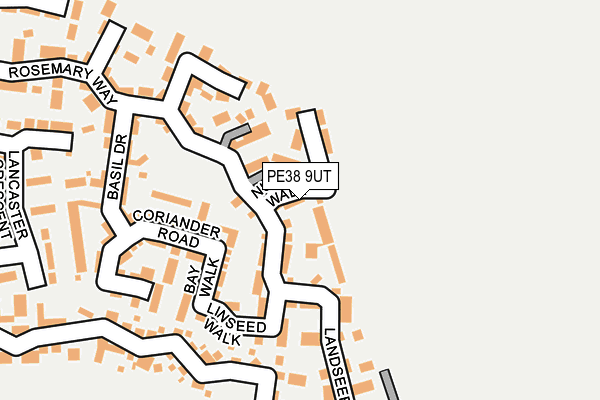 PE38 9UT map - OS OpenMap – Local (Ordnance Survey)