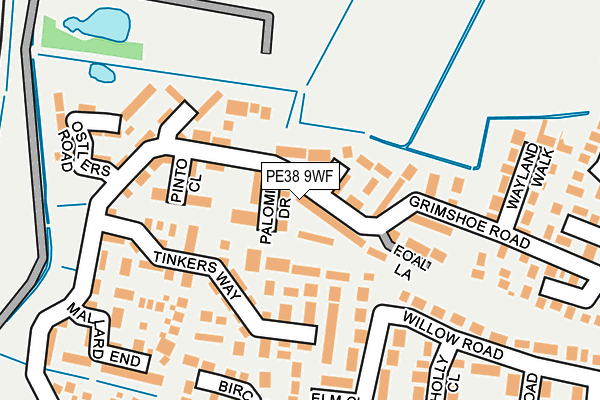 PE38 9WF map - OS OpenMap – Local (Ordnance Survey)
