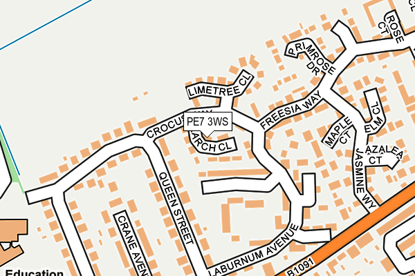 PE7 3WS map - OS OpenMap – Local (Ordnance Survey)