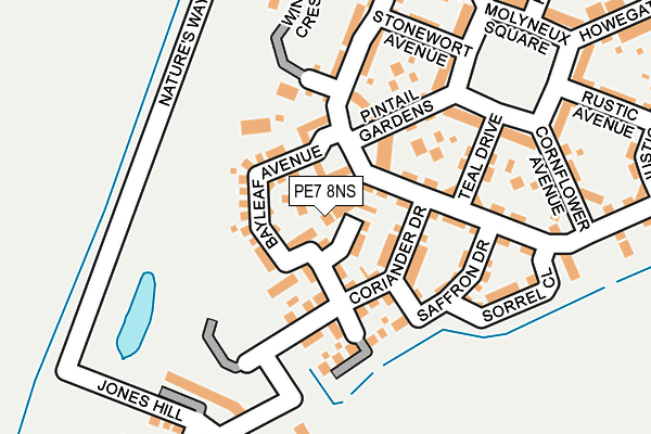 PE7 8NS map - OS OpenMap – Local (Ordnance Survey)