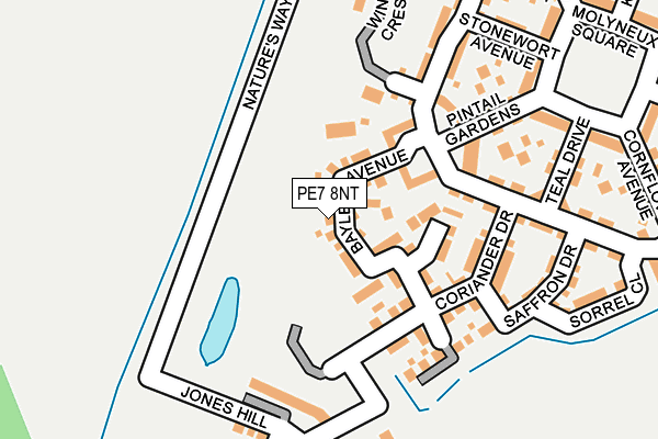 PE7 8NT map - OS OpenMap – Local (Ordnance Survey)