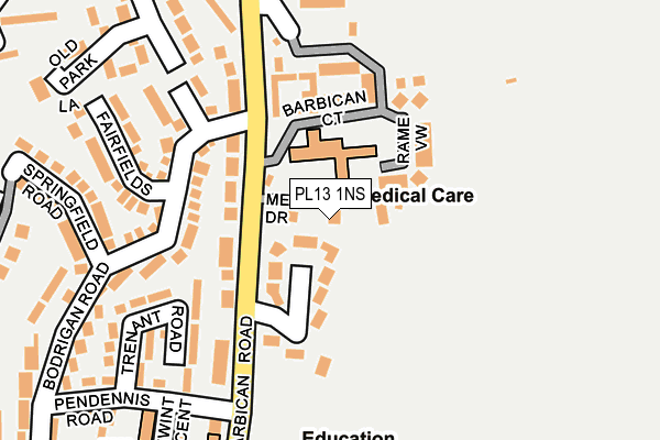 PL13 1NS map - OS OpenMap – Local (Ordnance Survey)
