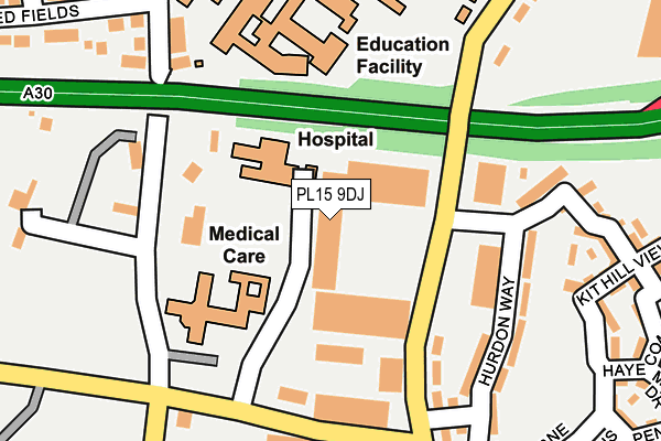 PL15 9DJ map - OS OpenMap – Local (Ordnance Survey)