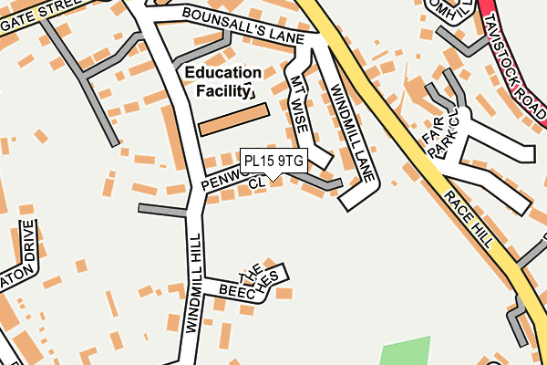 PL15 9TG map - OS OpenMap – Local (Ordnance Survey)