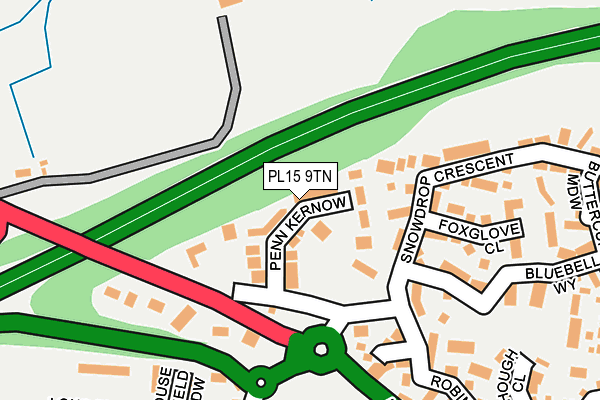 PL15 9TN map - OS OpenMap – Local (Ordnance Survey)