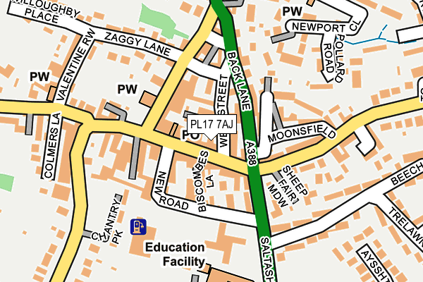 PL17 7AJ map - OS OpenMap – Local (Ordnance Survey)