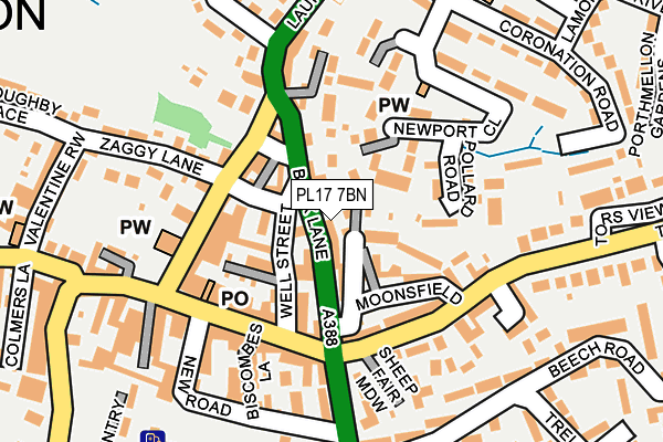 PL17 7BN map - OS OpenMap – Local (Ordnance Survey)