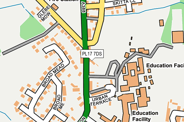 PL17 7DS map - OS OpenMap – Local (Ordnance Survey)