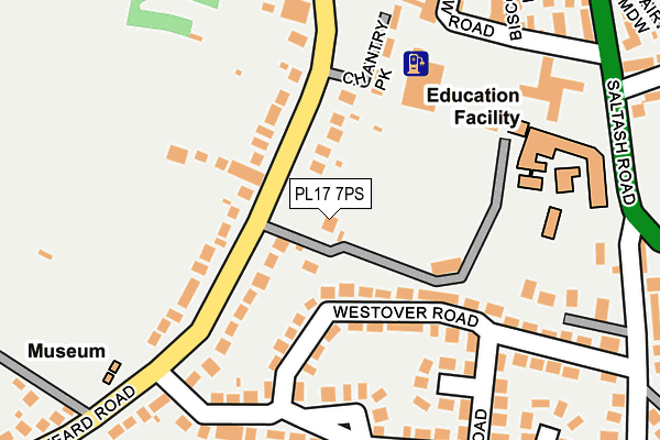 PL17 7PS map - OS OpenMap – Local (Ordnance Survey)