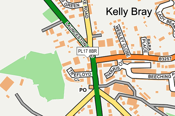 PL17 8BR map - OS OpenMap – Local (Ordnance Survey)