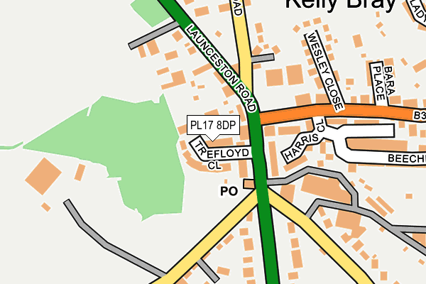 PL17 8DP map - OS OpenMap – Local (Ordnance Survey)