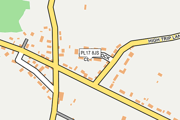PL17 8JS map - OS OpenMap – Local (Ordnance Survey)