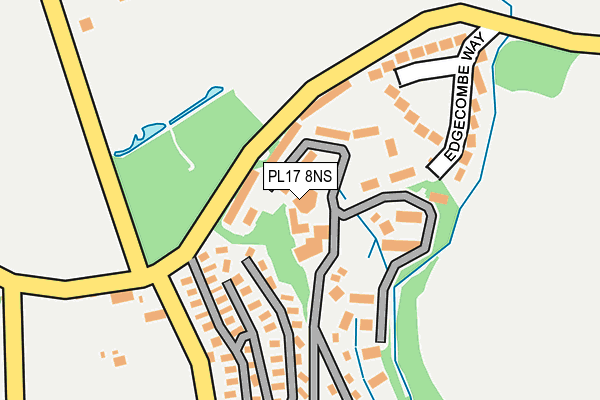 PL17 8NS map - OS OpenMap – Local (Ordnance Survey)