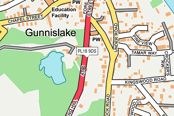 PL18 9DS map - OS OpenMap – Local (Ordnance Survey)