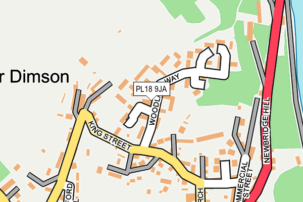 PL18 9JA map - OS OpenMap – Local (Ordnance Survey)