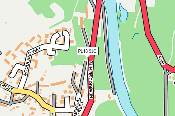 PL18 9JQ map - OS OpenMap – Local (Ordnance Survey)
