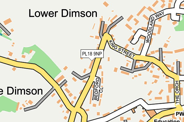 PL18 9NP map - OS OpenMap – Local (Ordnance Survey)