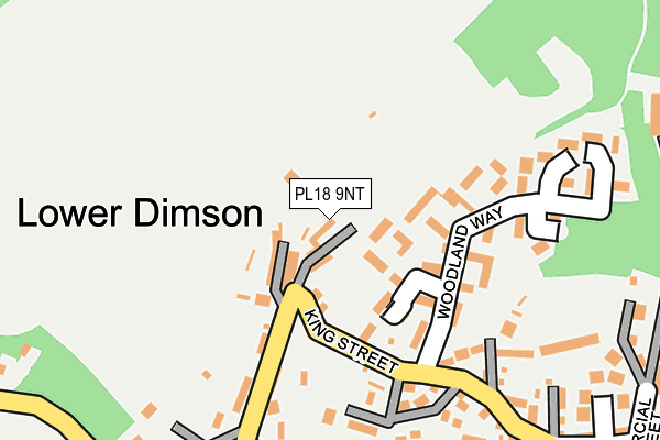 PL18 9NT map - OS OpenMap – Local (Ordnance Survey)