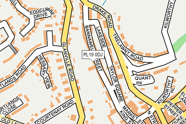 PL19 0DJ map - OS OpenMap – Local (Ordnance Survey)