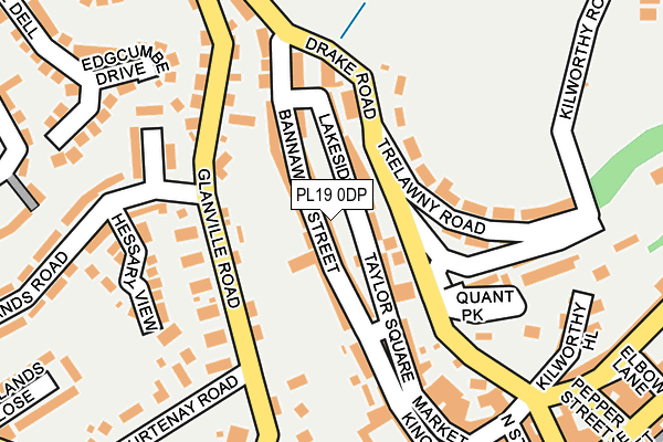 PL19 0DP map - OS OpenMap – Local (Ordnance Survey)