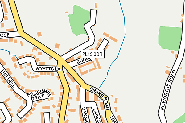 PL19 0DR map - OS OpenMap – Local (Ordnance Survey)